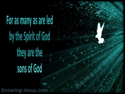 Romans 8:14 Led By The Spirit (sage)